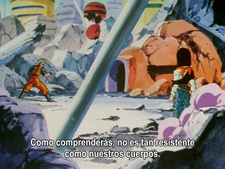 Dragon Ball Z - Especial 2: ¡Resistencia hasta la desesperación!